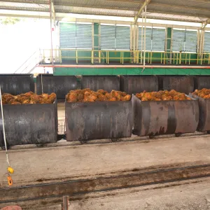 https://shmuker.oss-cn-hangzhou.aliyuncs.com/data/oss/common/20240703104242/20240703/d7d28b16652ef72f83afe5fbaa220312.jpg
