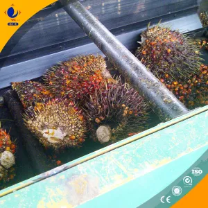 https://shmuker.oss-cn-hangzhou.aliyuncs.com/data/oss/common/20240703104543/20240703/a00fa2a155e6df77c28e5b3fe26c706d.jpg