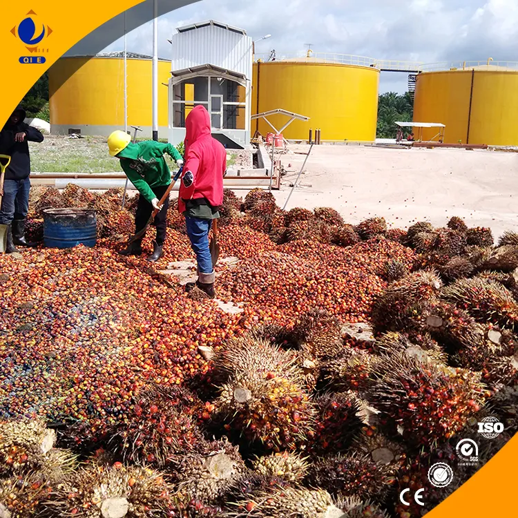 Palm Oil Pressing And Refining Equipment