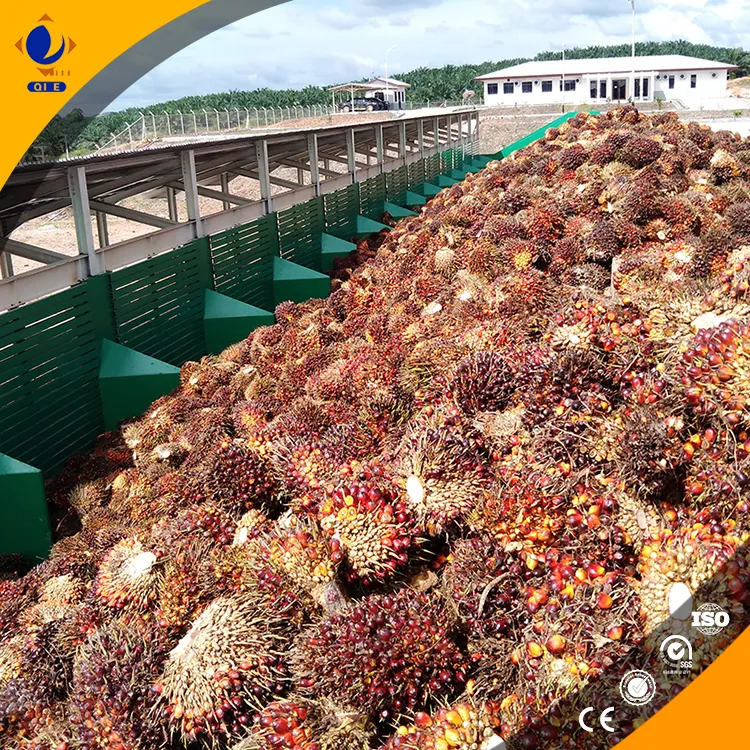 Red Palm Oil Production Line Equipment