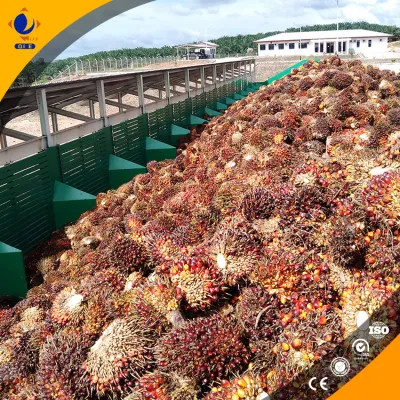 https://shmuker.oss-cn-hangzhou.aliyuncs.com/data/oss/common/20240703104614/20240703/ba938b4dfbe234ad69ff260226ab862a.jpg
