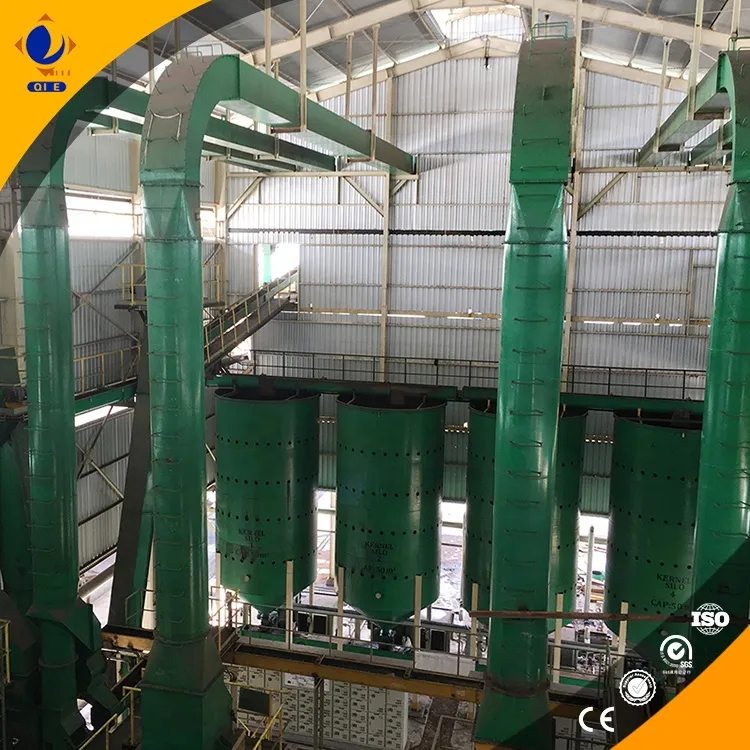 https://shmuker.oss-cn-hangzhou.aliyuncs.com/data/oss/common/20240703143908/20240703/db9f3f96f2b35a6636f5b35ba9db68e8.jpg