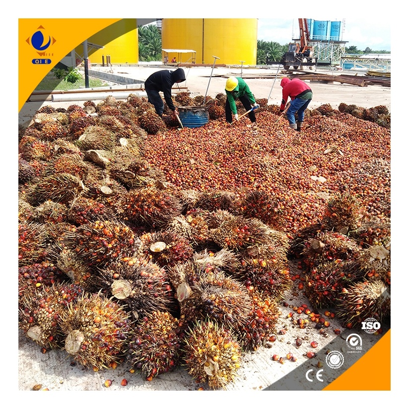 Diagram of Penguin Group’s heat recovery system improving palm kernel oil extraction efficiency