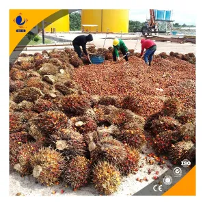 https://shmuker.oss-cn-hangzhou.aliyuncs.com/data/oss/common/20240703143920/20240703/be6a8e54a836530018c36d1e65db2d48.jpg