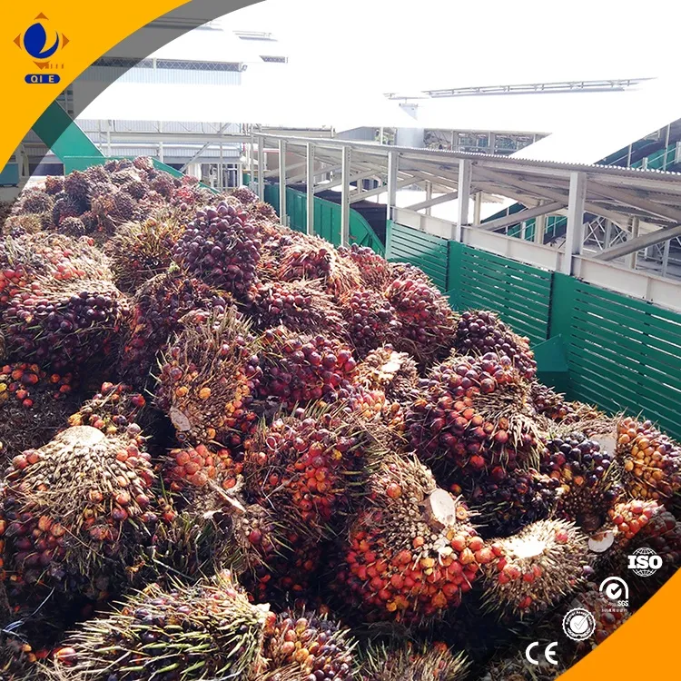 Small Palm Oil Processing Equipment
