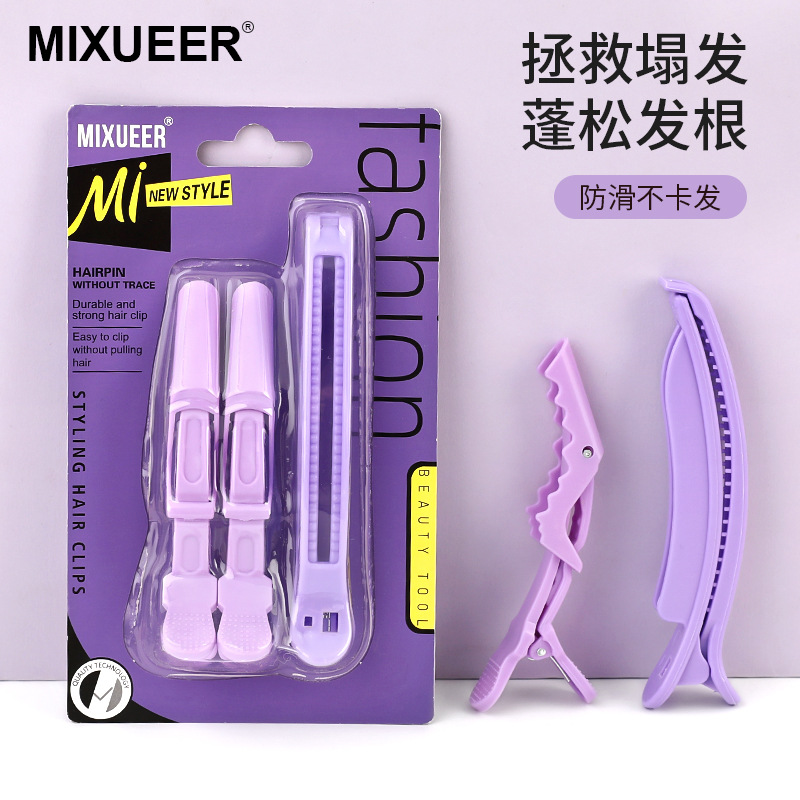 紫色发簪套装