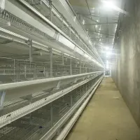 https://shmuker.oss-cn-hangzhou.aliyuncs.com/data/oss/common/20250508155158/20250508/2418fb3c6f761b207f738f18232c7d0e/Sf35cda34bdb345b39d1d8bee59753f42R.jpg
