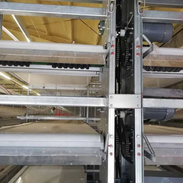 https://shmuker.oss-cn-hangzhou.aliyuncs.com/data/oss/common/20250512170812/20250512/503d0f487c807d90e28bd6b71ea88b40/manure-removing-system.jpg