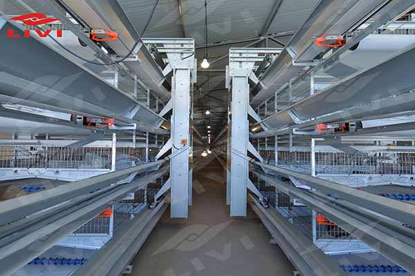 H Type Broiler Battery Cage-21