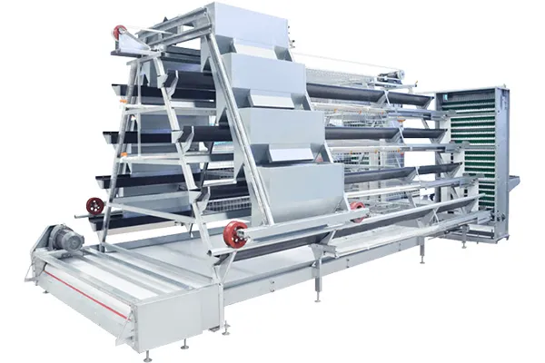 https://shmuker.oss-cn-hangzhou.aliyuncs.com/data/oss/common/20250513145757/20250513/7e7e45840f3072ae96b750fae1c7b564/A-type-layer-cage-1.jpg