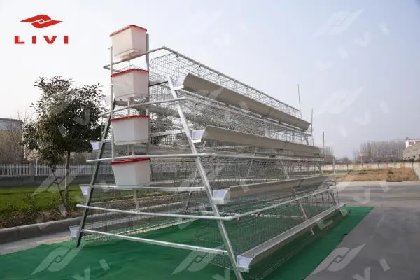 https://shmuker.oss-cn-hangzhou.aliyuncs.com/data/oss/common/20250513145758/20250513/49c73326d64ad58e2b9b838d3dd77525/layer-chicken-cages.jpg