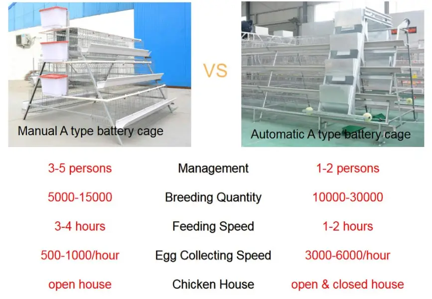 https://shmuker.oss-cn-hangzhou.aliyuncs.com/data/oss/common/20250513145758/20250513/5366d2a03a739bdc6abfce6e822a4bb9/manual-and-automatic-a-type-battery-cage.jpg