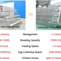 https://shmuker.oss-cn-hangzhou.aliyuncs.com/data/oss/common/20250513145758/20250513/5366d2a03a739bdc6abfce6e822a4bb9/manual-and-automatic-a-type-battery-cage.jpg