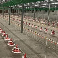 https://shmuker.oss-cn-hangzhou.aliyuncs.com/data/oss/common/20250513151330/20250513/672e4a56801827003ad26c545c83bf90/Flat-Raising-System-for-Sale-in-Zimbabwe.jpg