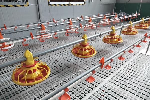 Broiler flat farming