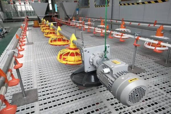 https://shmuker.oss-cn-hangzhou.aliyuncs.com/data/oss/common/20250513151330/20250513/cf8e9dba558666c217d8e45bd81adf12/broilers-flat-farming.jpg