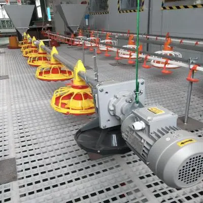 https://shmuker.oss-cn-hangzhou.aliyuncs.com/data/oss/common/20250513151330/20250513/cf8e9dba558666c217d8e45bd81adf12/broilers-flat-farming.jpg