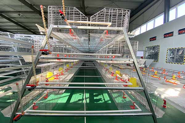 https://shmuker.oss-cn-hangzhou.aliyuncs.com/data/oss/common/20250513152536/20250513/2b99c5c946f20bf388530939482b5d09/A-type-brooder-battery-cage.jpg