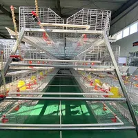 https://shmuker.oss-cn-hangzhou.aliyuncs.com/data/oss/common/20250513152536/20250513/2b99c5c946f20bf388530939482b5d09/A-type-brooder-battery-cage.jpg