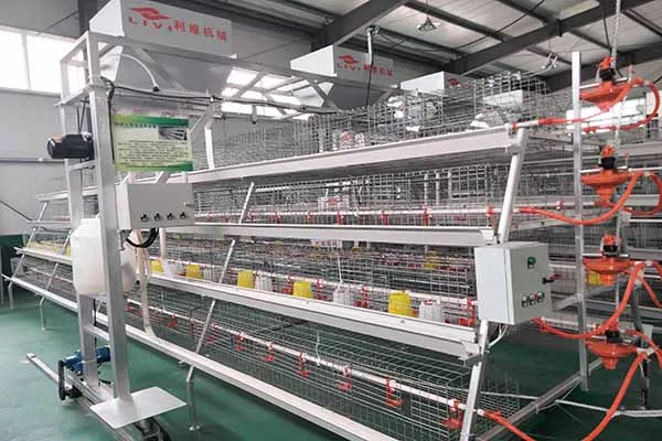 https://shmuker.oss-cn-hangzhou.aliyuncs.com/data/oss/common/20250513152536/20250513/6c3e933626747052e7785285dd28386d/a-type-brooder-cage.jpg