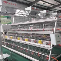 https://shmuker.oss-cn-hangzhou.aliyuncs.com/data/oss/common/20250513152536/20250513/6c3e933626747052e7785285dd28386d/a-type-brooder-cage.jpg