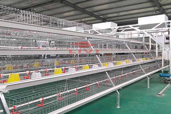 https://shmuker.oss-cn-hangzhou.aliyuncs.com/data/oss/common/20250513152536/20250513/d4d5eeb48cc2aeecc8f667b4e022efc4/A-type-brood-battery-cage.jpg