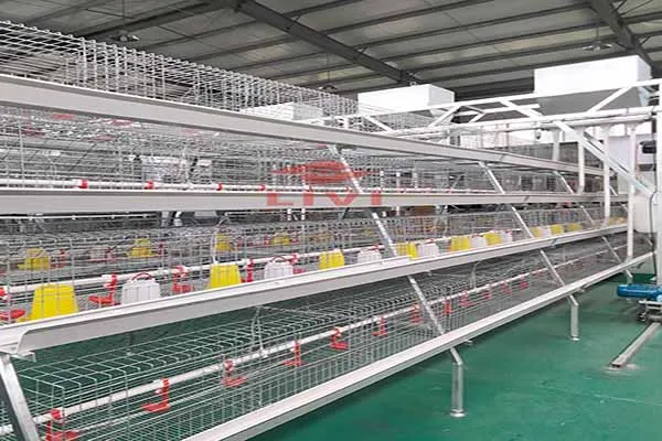 https://shmuker.oss-cn-hangzhou.aliyuncs.com/data/oss/common/20250513152536/20250513/d4d5eeb48cc2aeecc8f667b4e022efc4/A-type-brood-battery-cage.jpg