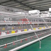 https://shmuker.oss-cn-hangzhou.aliyuncs.com/data/oss/common/20250513152536/20250513/d4d5eeb48cc2aeecc8f667b4e022efc4/A-type-brood-battery-cage.jpg