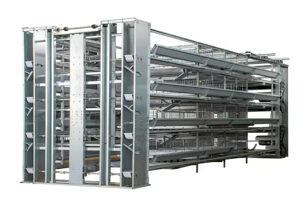 Jaulas tipo H para pollos de engorde: soluciones a medida para granjas de 10.000, 30.000 y 50.000 aves