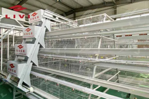 https://shmuker.oss-cn-hangzhou.aliyuncs.com/data/oss/common/20250513152632/20250513/f50318fdd07034d746f16ab718c60a73/poultry-feeding-system.jpg