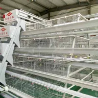 https://shmuker.oss-cn-hangzhou.aliyuncs.com/data/oss/common/20250513152632/20250513/f50318fdd07034d746f16ab718c60a73/poultry-feeding-system.jpg