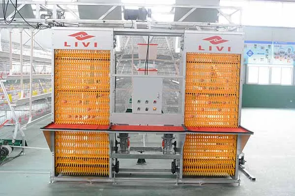 https://shmuker.oss-cn-hangzhou.aliyuncs.com/data/oss/common/20250513152646/20250513/3e13f3570d80f4f86856eace8675f2e9/chicken-egg-system.jpg