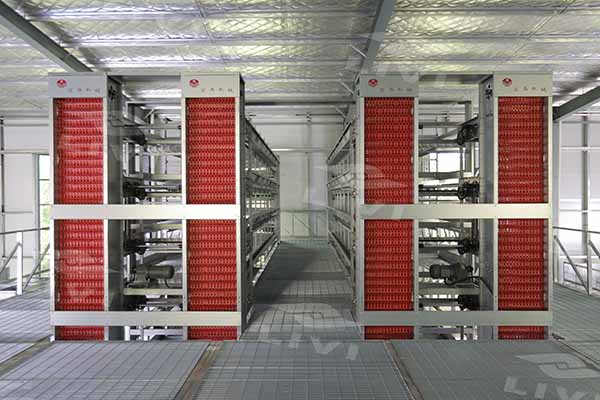 automatic-egg-collection-equipment