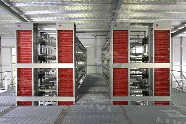 https://shmuker.oss-cn-hangzhou.aliyuncs.com/data/oss/common/20250513152646/20250513/7dd2a62d882d2f4f7a459ef776afe318/automatic-egg-collection-equipment.jpg