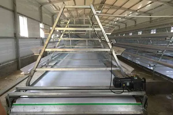 https://shmuker.oss-cn-hangzhou.aliyuncs.com/data/oss/common/20250513152718/20250513/228b12af5a8679c606ac833af5fdd22b/automatic-chicken-manure-cleaning-system.jpg