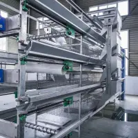 https://shmuker.oss-cn-hangzhou.aliyuncs.com/data/oss/common/20250513152718/20250513/24f1163c8ca57714db569e3f95abf303/broiler-poultry-cages.jpg