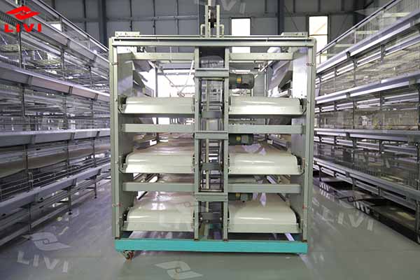 https://shmuker.oss-cn-hangzhou.aliyuncs.com/data/oss/common/20250513152718/20250513/6286713b439833539c95ca503480acb9/automatic-chicken-manure-removing-system.jpg