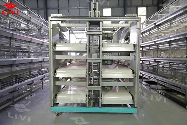 https://shmuker.oss-cn-hangzhou.aliyuncs.com/data/oss/common/20250513152718/20250513/6286713b439833539c95ca503480acb9/automatic-chicken-manure-removing-system.jpg