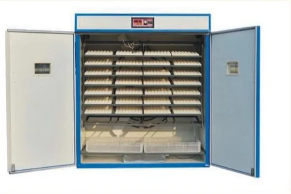 https://shmuker.oss-cn-hangzhou.aliyuncs.com/data/oss/common/20250513160300/20250513/8af34b6ace524a18b47a2060e48c0c08/incubator-machines.jpg