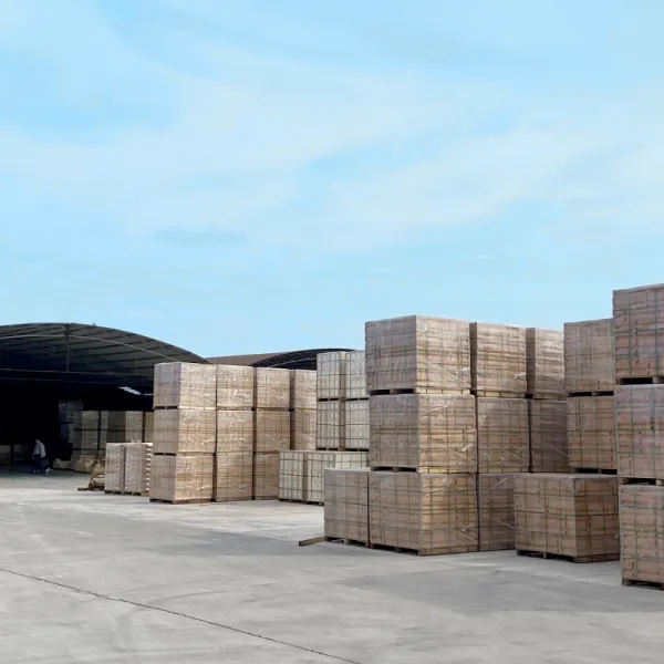 https://shmuker.oss-cn-hangzhou.aliyuncs.com/data/oss/common/20250529144512/20250529/b25990819a21506dcfc1d7cc1a98ddd3/f98adc86b2d39611a5480a07444a34ac.jpg
