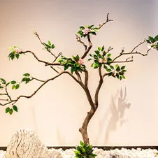 https://shmuker.oss-cn-hangzhou.aliyuncs.com/tmp/temporary/60ec5bd7f8d5a86c84ef79f2/60ec5bdcf8d5a86c84ef7a9a/20240716163517/7.jpg