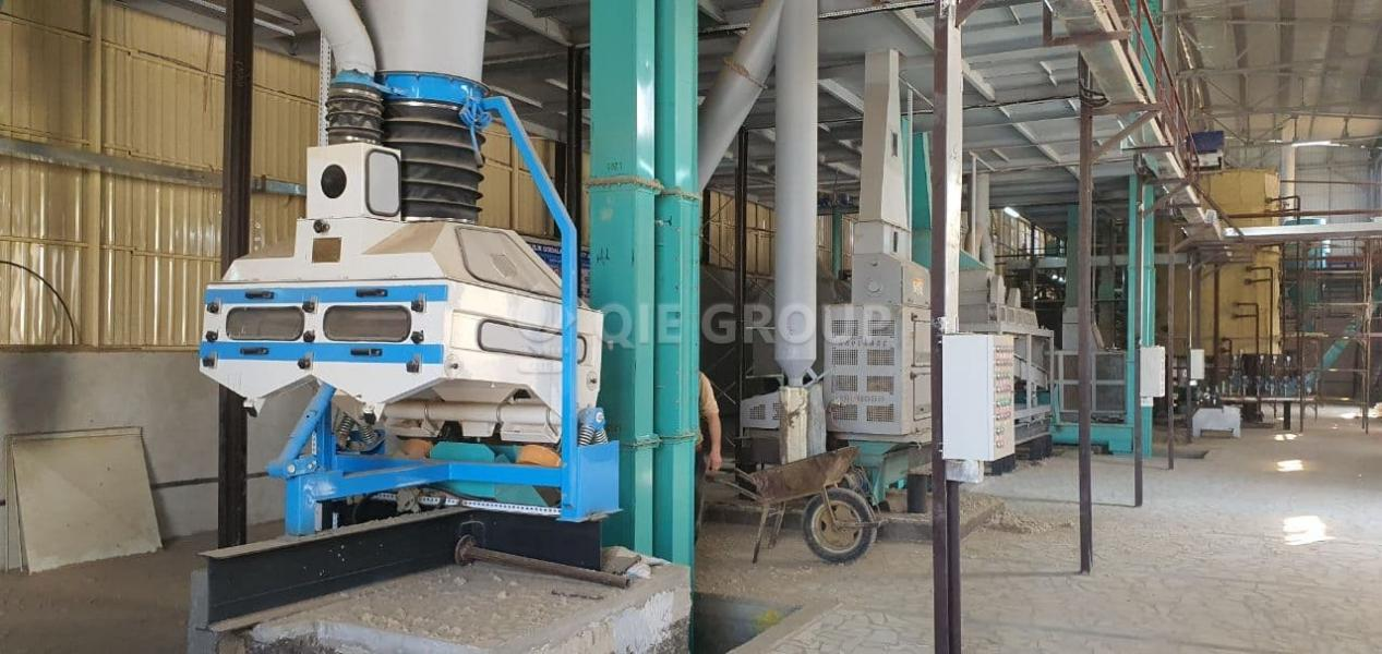 Sunflower seed pretreatment equipment