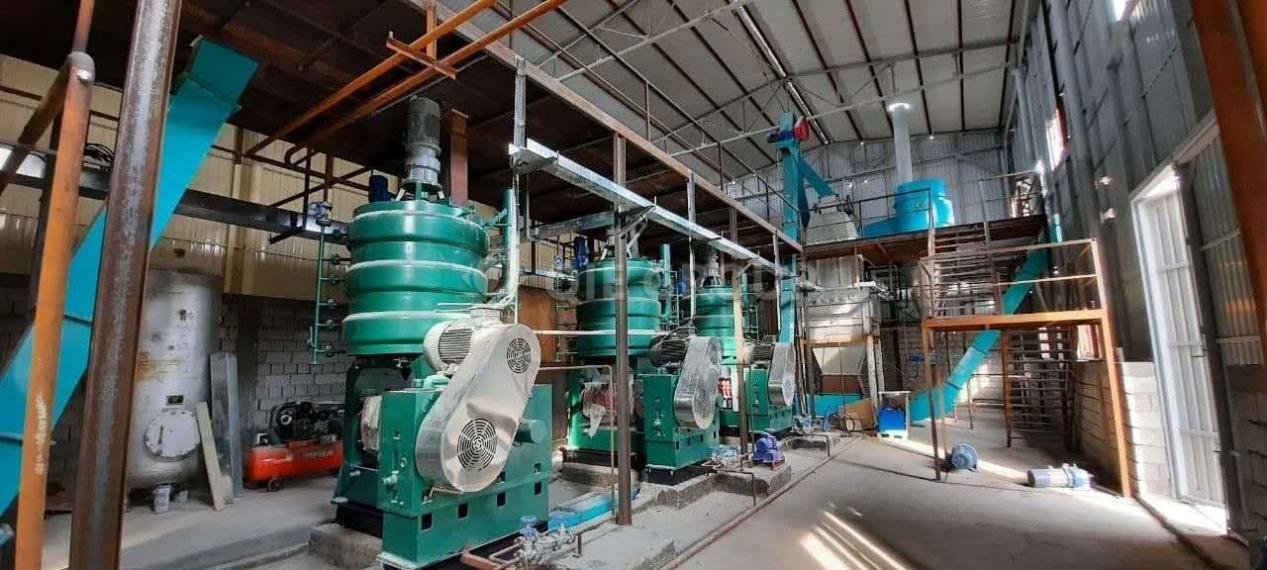 Sunflower oil pressing equipment