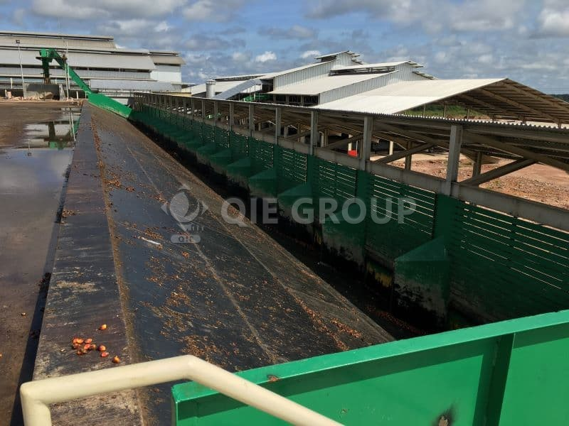 Palm oil processing plant project