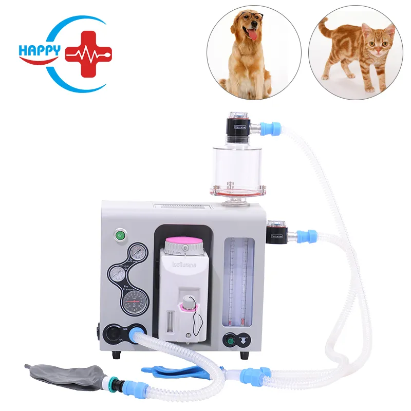 https://shmuker.oss-cn-hangzhou.aliyuncs.com/tmp/temporary/common/20240725233023/20240725/2a8957c83aea863251ba6759a8c15cea.jpg